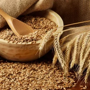 Wheat