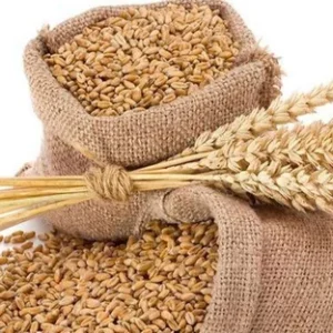 Wheat